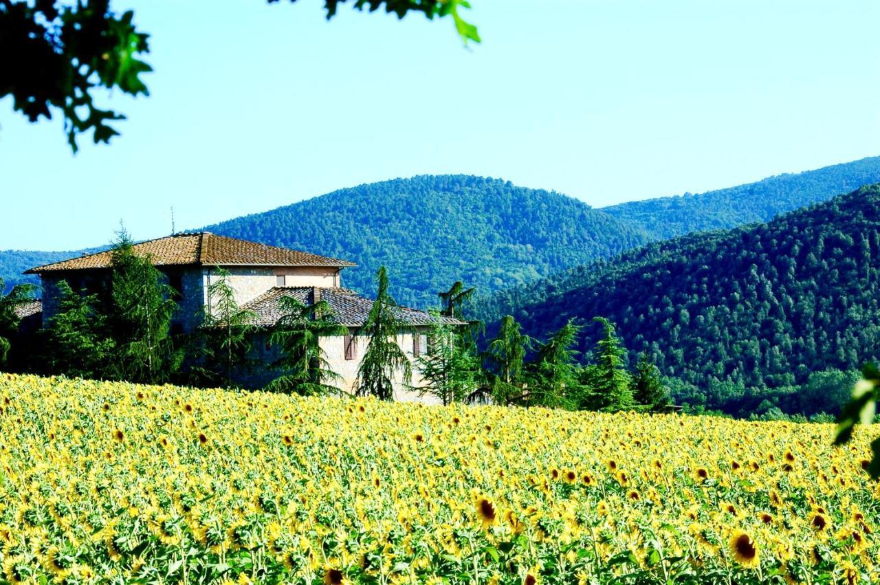Agriturismo Montioni Совичилле Экстерьер фото